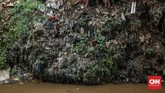 Forum Ekonomi Dunia pada 2016 menyatakan ada lebih dari 150 juta ton plastik berada di lautan. Padahal plastik memerlukan waktu puluhan bahkan ratusan tahun untuk bisa terurai. Plastik bakal terakumulasi terus dan terus di laut. (CNN Indonesia/Bisma Septalisma)