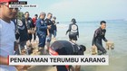 VIDEO: Aksi Pencinta Moge Tanam Terumbu Karang di Sukabumi