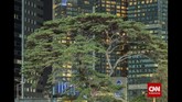 Tahun 2002 - 2007 polusi udara CO2 di DKI Jakarta meningkat dari 187,4 mg/m2 menjadi 300,0 mg/m2 (Samsoedin dan Waryono, 2010). Salah satu upaya untuk meredam persoalan lingkungan tersebut adalah keberadaan dan pengembangan hutan kota. (CNN Indonesia/Adhi Wicaksono)