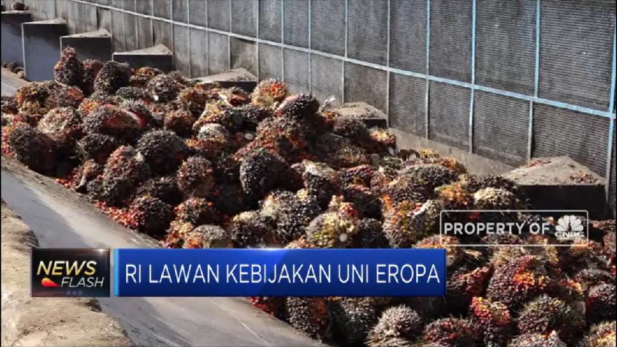 Perusahaan firma internasional jadi pilihan pemerintah untuk menghadapi proses hukum sawit di WTO dan Uni Eropa.