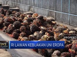 UE Tuding Indonesia Beri Subsidi Biodiesel