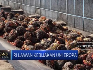 UE Tuding Indonesia Beri Subsidi Biodiesel