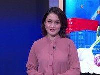 Semerbak Aroma Bawang Impor