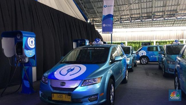 Pakai Mobil  Listrik Tesla BYD Bos Blue  Bird  Ini Terobosan