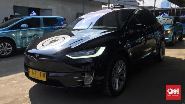 Blue Bird  Beli Taksi Listrik Tesla  di Importir Umum