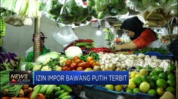 Pemerintah Terbitkan Izin Impor Bawang Putih