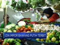 Pemerintah Terbitkan Izin Impor Bawang Putih