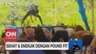 VIDEO: Sehat & Enerjik dengan Pound Fit