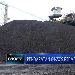 Laba Bersih Q1-2019 PTBA Turun 12,63%