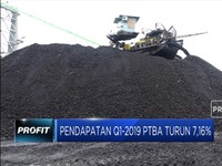 Laba Bersih Q1-2019 PTBA Turun 12,63%