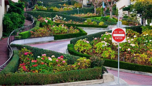 Tak Lagi Gratis Lewati Jalan Fotogenik di San Francisco