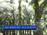 Laba Bersih AALI Q1-2019 Anjlok 89.47%