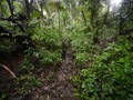 5 Taman Nasional yang Menjadi Rumah Satwa Khas Indonesia