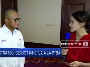 Laba Q1/2019 Anjlok, Begini Strategi PTBA Genjot Kinerja