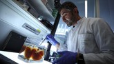 Peneliti kemudian mencetak kerangka organ menggunakan printer 3D, sel buatan bertindak sebagai 'tinta' yang disuntikkan untuk membuat organ bekerja sebagaimana mestinya. (REUTERS/Michael Dalder)