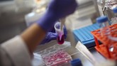 Erturk mengatakan pengebangan teknologi transplantasi DISCO ini menandai kemajuan teknologi tiga dimensi di ranah medis.(REUTERS/Michael Dalder)