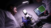 Kepala peneliti Eli Erturk menjelaskan ia dan tim mengembangkan teknik untuk membuat organ transplantasi seperti otak dan ginjal tembus pandang. (REUTERS/Michael Dalder)