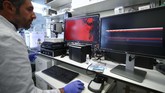 Organ buatan dipindai menggunakan laser dalam mikroskop untuk memotret seluruh struktur, termasuk pembuluh darah dan sel dalam tubuh. (REUTERS/Michael Dalder)