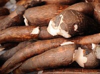 3 Makanan Ini Pantang Dikonsumsi Bersama Singkong Rebus