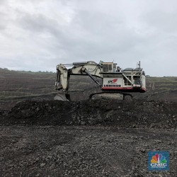 Ternyata Ini yang Jadi Alasan Saham BUMI Meroket