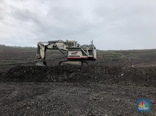 Divonis Mati, Nyatanya Laba Emiten Batu Bara Rekor Tertinggi!