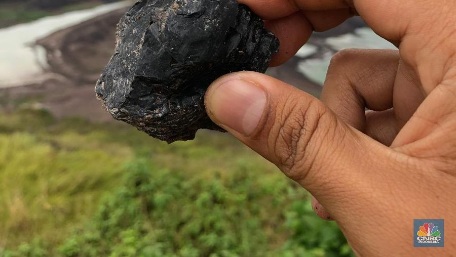 Kaltim Prima Coal