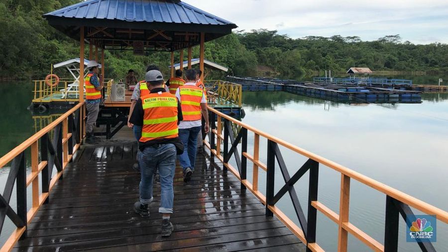 Tambang batu bara tersebut membentang seluas 84.938 hektar yang berdiri sejak 1982.