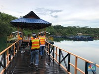 Misterius, Ada Investor Ritel Borong Saham BUMI Rp 258 M