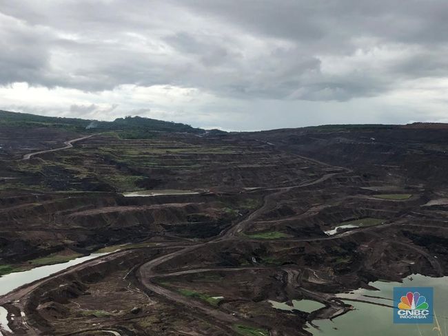 Potensi cadangan batubara di indonesia banyak ditemukan di pulau ...