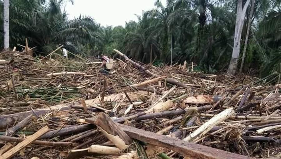 Data korban bencana per 29/4/2019 pukul 08.30 WIB, tercatat 29 orang meninggal dunia, 13 orang hilang, 2 orang luka berat, dan 2 orang luka ringan.