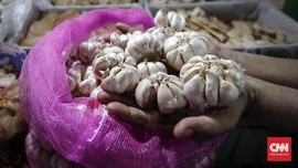 Bawang Putih Impor Sudah Masuk, Darmin Pastikan Harga Turun