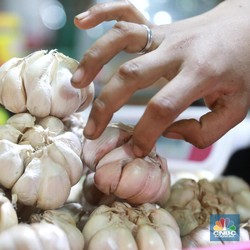Waduh! Harga Bawang Putih Sekilo Hampir Samai Daging Sapi