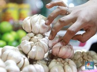 Waduh! Harga Bawang Putih Sekilo Hampir Samai Daging Sapi