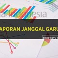 Polemik Laporan Janggal Garuda