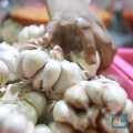 Hasil Studi, Ini Jenis & Dosis Bawang Putih Untuk Turunkan Kolesterol