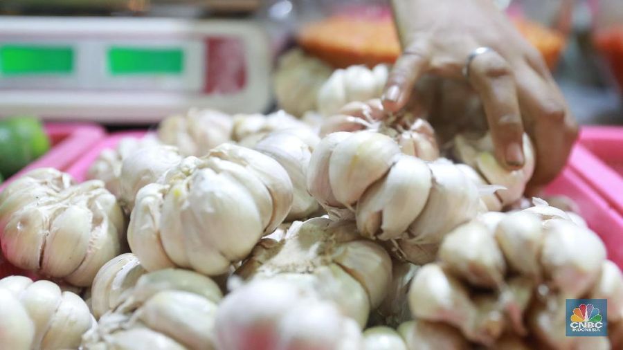 Menurut pedagang di pasarinu penjualan bawang putih mengalami kenaikan saat mendekati hari raya idul firtri yang dalam beberapa bulan nanti akan dirayakan. (²©²ÊÍøÕ¾/Andrean kristianto)