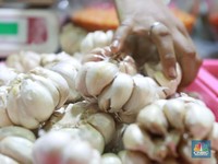 Kacau! Jelang Ramadan Harga Bawang Putih Tak Terkendali