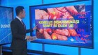VIDEO: Kemelut Diskriminasi Sawit RI oleh Uni Eropa