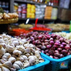 Beda Nasib Bawang Putih & Merah: Keduanya Butuh Perhatian!