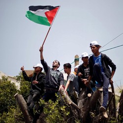 Perang Minggir Dulu, Klinik Kesuburan Laku Keras di Palestina