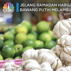 Waduh! Jelang Ramadan Harga Bawang Putih Melambung