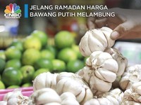 Waduh! Jelang Ramadan Harga Bawang Putih Melambung