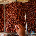 Jangan Salah Beli Kurma Israel, Kenali 6 Cirinya