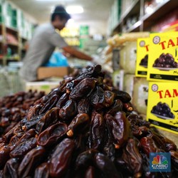 Daftar Terbaru 9 Kurma asal Israel dan Cara Membedakannya