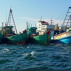 Susi 'Cium' Kapal Asing Beraksi Lagi, KKP Komentar Begini