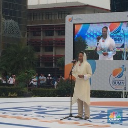 Dituding Langgar Perintah Jokowi, Menteri Rini Buka Suara