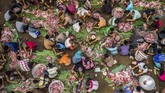 Warga bergotong royong menyortir daging kambing untuk dimasak dalam tradisi Sadranan di kompleks pemakaman Sentono, Kelurahan Ngijo, Gunungpati, Semarang, Jawa Tengah, Kamis (4/4/2019). Tradisi turun temurun penyembelihan 61 kambing jadi cara menyambut Ramadan. ANTARA FOTO/Aji Styawan