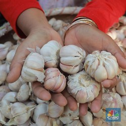 Kata Orang RI Tanah Surga, Bawang Putih Saja Masih Impor Bos!