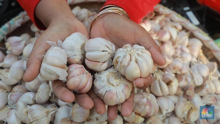 Pasalnya, belakangan ini harga bawang putih di pasaran naik cukup tajam hingga mencapai Rp 80 ribu per kilogram.