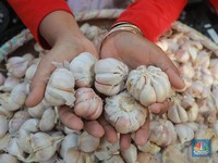 Kemendag Targetkan Bawang Putih Rp 32 Ribu-Rp 35 Ribu Per Kg